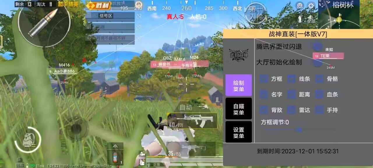和平精英辅助【飞鸟】